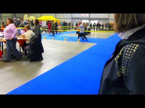 Zarina's Design Siempre Perfecta