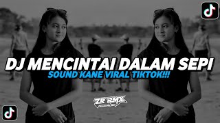 Download lagu DJ MENCINTAI DALAM SEPI ( MENEPI ) | SOUND KANE VIRAL TIKTOK 2024 [BOOTLEG] mp3