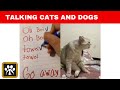 WOW These Cats And Dogs Can Speak English With Subtitles