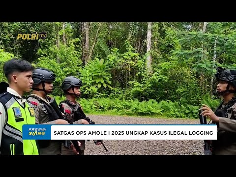 SATGAS OPS AMOLE I 2025 UNGKAP KASUS ILEGAL LOGGING