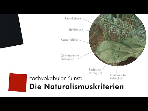 Technical vocabulary of art: The six criteria of naturalism