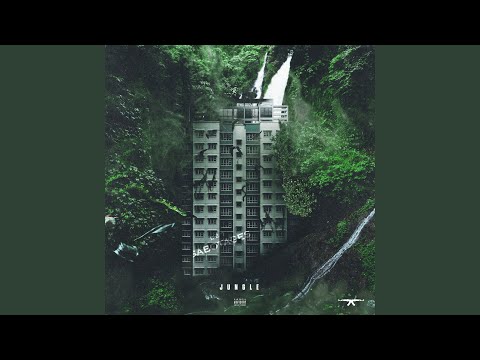 download lagu mp3 mp4 Molo Jungle, download lagu Molo Jungle gratis, unduh video klip Molo Jungle