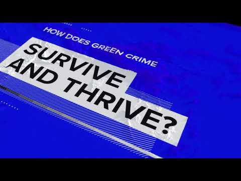 Green Crime: The Hidden Threat | A Refinitiv Data Moment