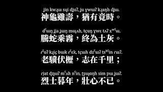 [閒聊] 真三國無雙起源有多少人使用中文語音？