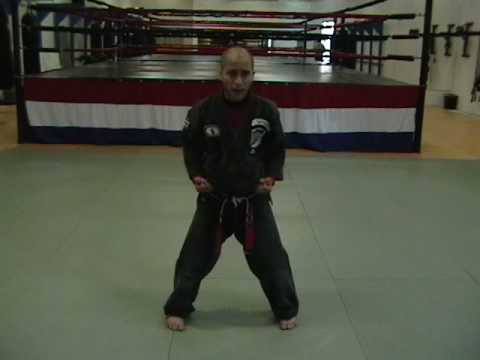 CASA DE KENPO - AMERICAN KENPO - STRIKING SET 1