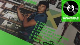 ARMAND VAN HELDEN - 1985 (Stupid Fresh) 2002 ★ Vinyl Rip