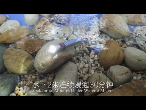 Civictor F3 Dual Light MINI Keychain LED Flashlight 365nm UV