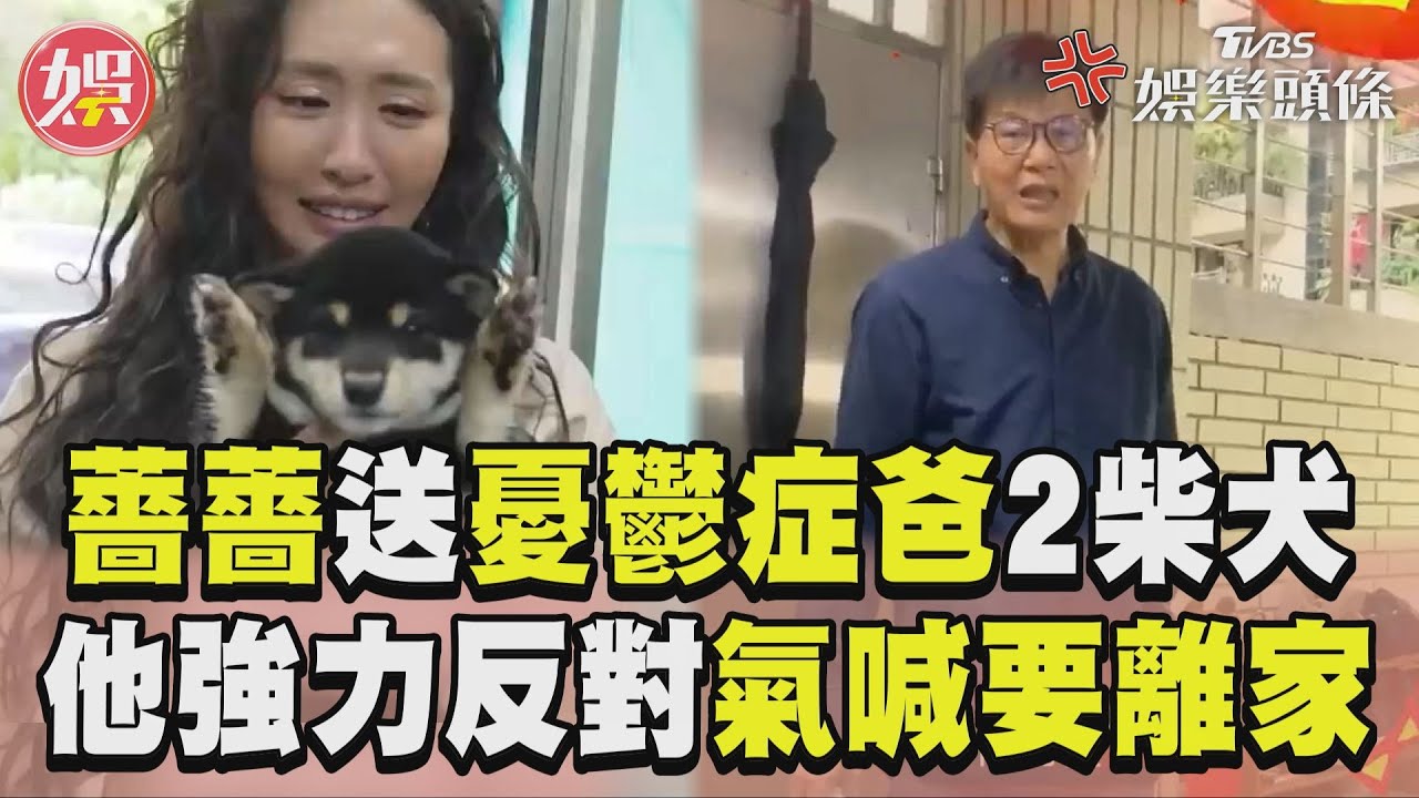 影音/薔薔送憂鬱症爸2柴犬遭反對 他氣炸撂狠話:不住這個家了