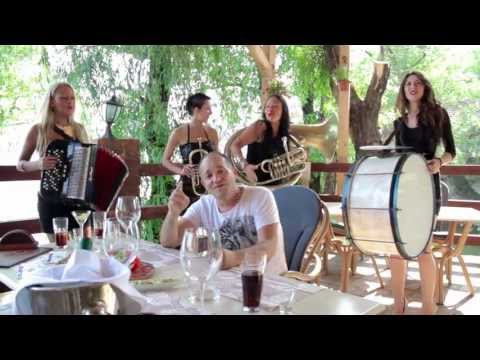 Slavisa Vujic - Bolje lud sa njom nego pametan bez nje - (Official Video 2013) HD