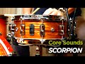 Core Sounds: Black Panther Scorpion