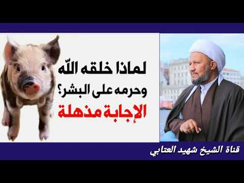 , title : 'لماذا خلق الله الخنزير وحرم علينا لحمه  ؟'