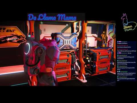 Funniest Llama Moments