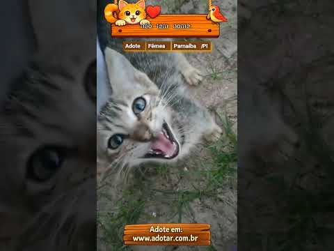 Vídeo de não tem nome