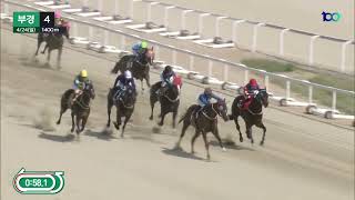 단승식1.7배,짱이의 졸전으로 배당은 터지고,쌍승식: ②⑥ 115.3배