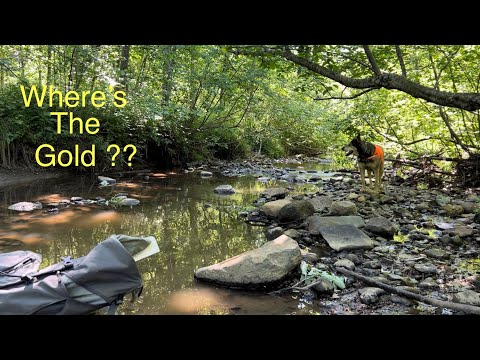 Finding gold in low water !!! #grassrootsmining