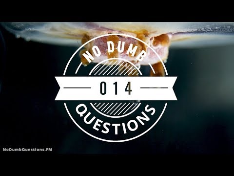 No Dumb Questions 014 - Befriending Hitler (Live Eclipse Event Recording)