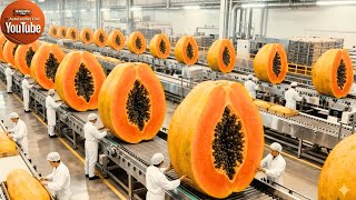 Download lagu Inside a Modern Papaya Factory: From Farm to Dessert (The Whole Process) mp3