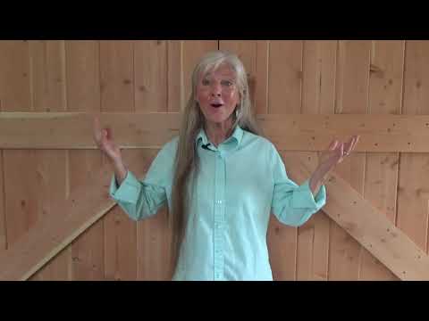 4 life lessons from our old dogs | Elizabeth Johnson | TEDxSnoIsleLibraries