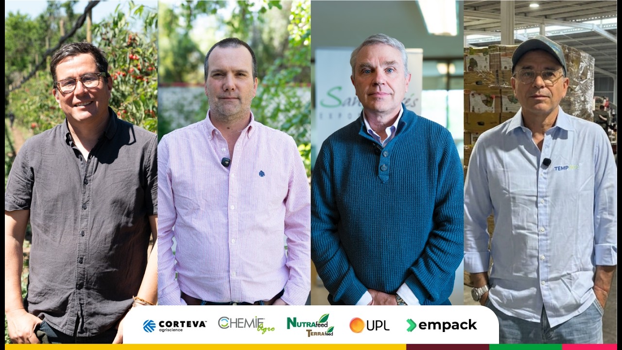 Reportajes en Smartcherry: "Es tiempo de cereza: Comenzó la temporada"