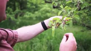 Beer Fest Headwater Cider