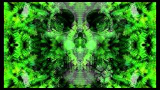 Wayne Kramer - Stranger in the House HD