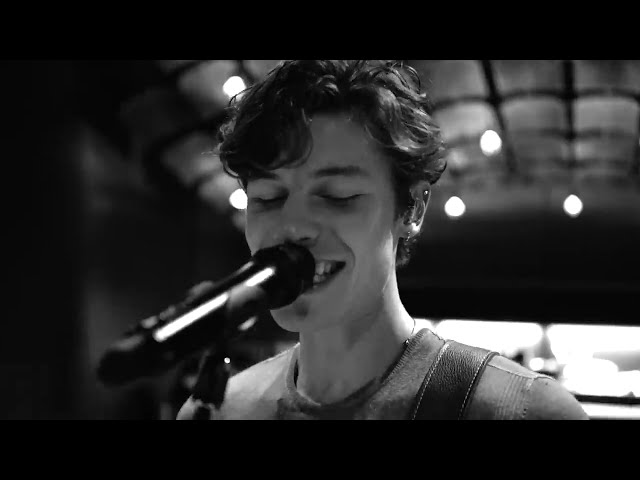 When You're Gone von Shawn Mendes ((jetzt ansehen))