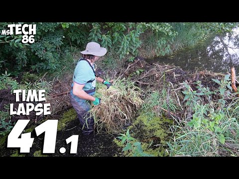 Manual Beaver Dam Removal No.41.1 - Time-Lapse Version