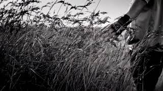 Soner Sarıkabadayı - Gel De Uyu