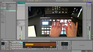 Video thumbnail for Freddie Joachim - Sample Kit work by Freddie Joachim