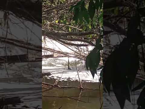 ESPUMA SAINDO DA ETE  ESTAÇÃO DE TRATAMENTO DE ESGOTO DA SABESP PARA O RIO SÃO LOURENÇO ATRÁS DA ALDEIA DO ARTESANATO DE JUQUITIBA.