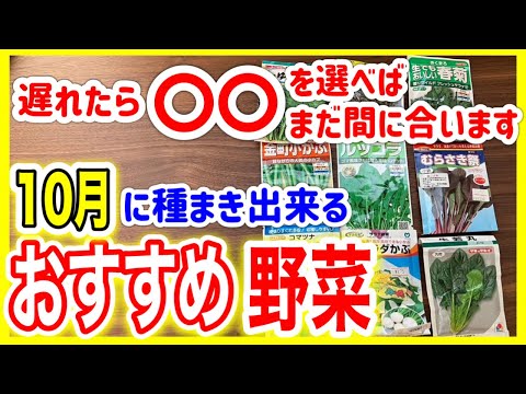  10月に種をまくべき野菜は何ですか?家庭菜園で簡単にできる種まき 5 つ  庭園