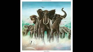 Chemistry Class (live, 1978-02-28- Washington) (solo)