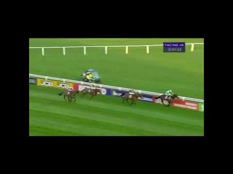2014 Rewards4Racing Novices' Handicap Chase - Cheltenham Festival