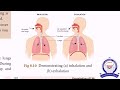 8th Zoology Part 2