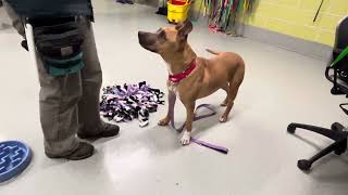 Zam 139400 shows his tricks