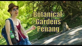 Visiting the Penang Botanical Gardens (Taman Kebun Bunga) Waterfall Gardens - George Town, Malaysia