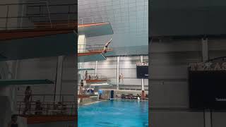 Look at my new dive I learned on platform