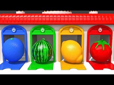 Quả Gì - Cái Bống Bang - Nhạc Thiếu Nhi Vui Nhộn Hay Nhất Cho Bé