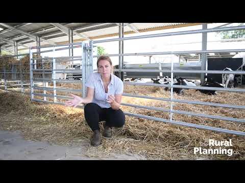 Should I use my PD rights