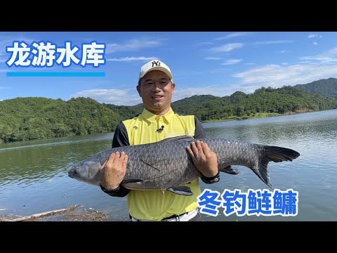 , title : '【鄧剛釣魚】龍游水庫盤老闆！冬釣鰱鳙，直接上岸！'