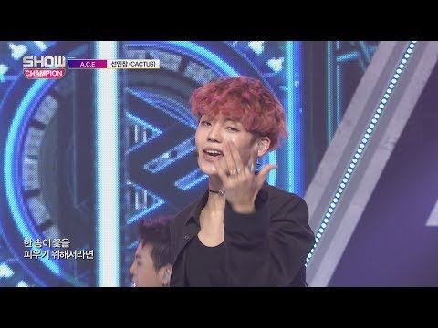 Show Champion EP.233 A.C.E - Cactus