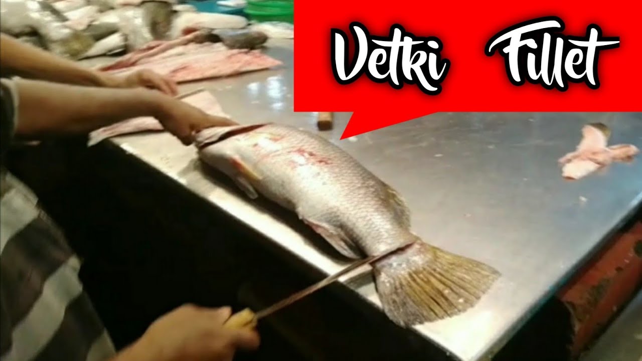 Kolkata Vetki Fish | Fillet Cutting | Fish Fry | Fish Tandoori