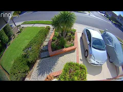 Kelly's arrival to Moms house on 11 22 20  at 1231pm