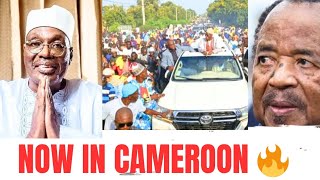 ISSA TCHIROMA MESSAGE TO CAMEROONIANS AS AMBAZONIANS REACTS #paulbiya #issatchiroma #cameroonnews