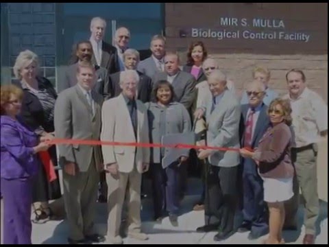 Mir Mulla and the Coachella Valley