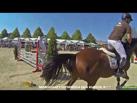 3  Ruttershäuser Springreitturnier RSC Ruttershausen e.V. 2015