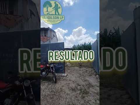 Nosso trabalho  na cidade de Itaitinga ce. Limpeza de terreno corte de grama é poda de árvore.