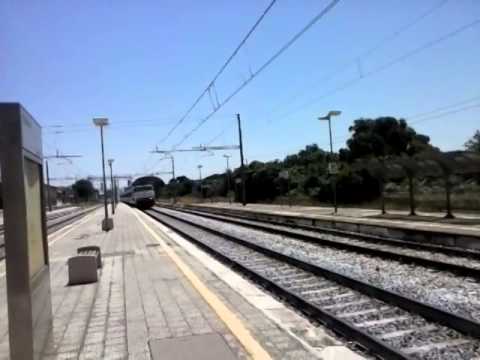 E444 tartaruga in transito a Bari Santo Spirito e mi saluta anche!