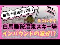 白馬エリア最後の穴場！？【白馬乗鞍温泉スキー場】2024.1.8 白馬乗鞍温泉スキー場