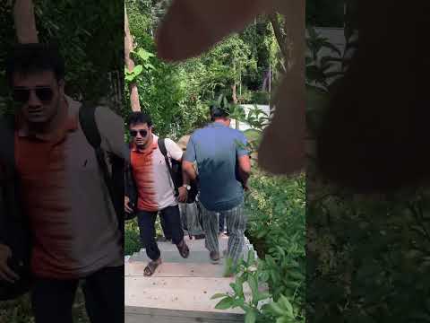 Friends tour #friends #tour #bandarban #chittagong #bangladesh #nature #friendship #dosti #chill